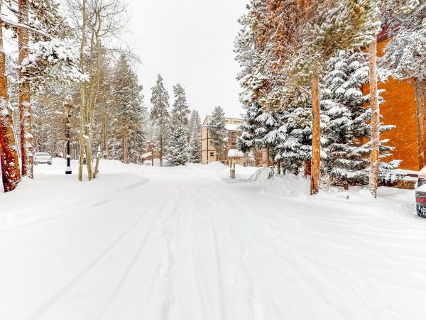 Breckenridge Condo 950174