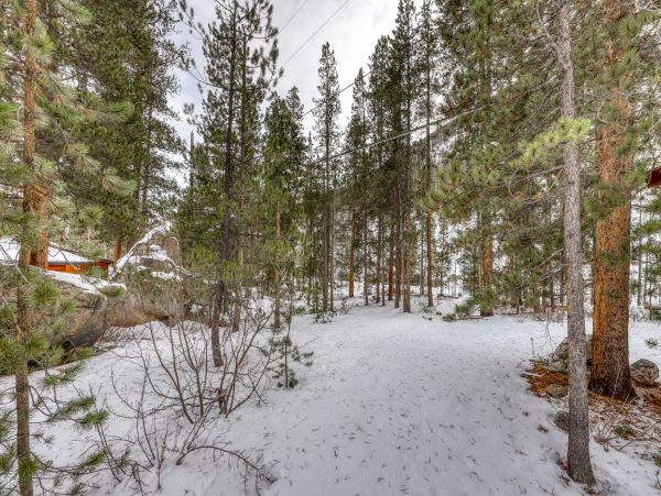 Breckenridge Home 950176