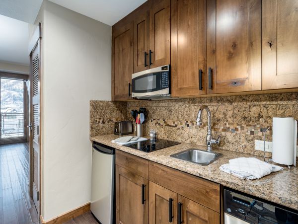 Steamboat Springs Condo 950200