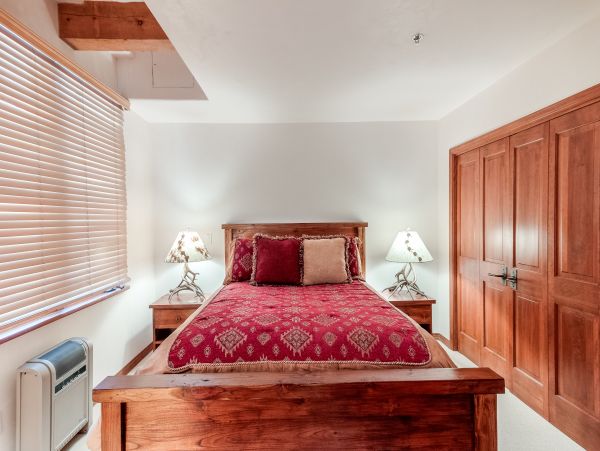 Telluride Condo 950201