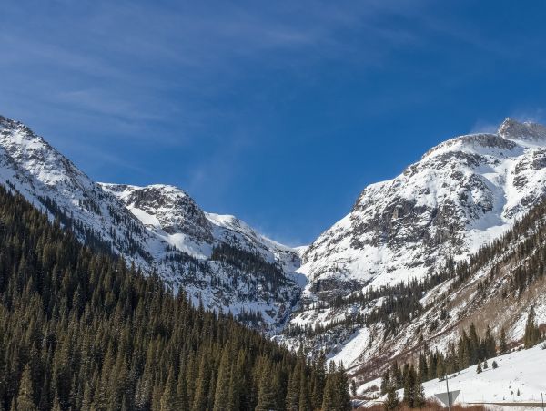 Telluride Condo 950201