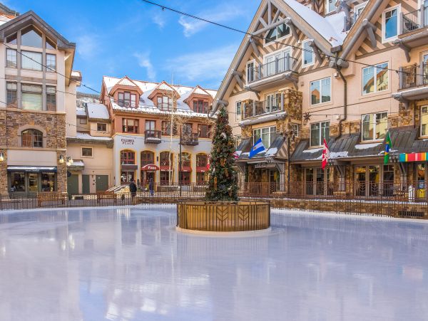 Telluride Condo 950201