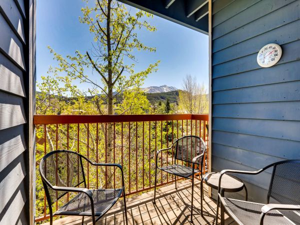 Breckenridge Condo 950202