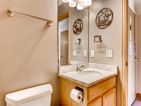 Breckenridge Condo 950202