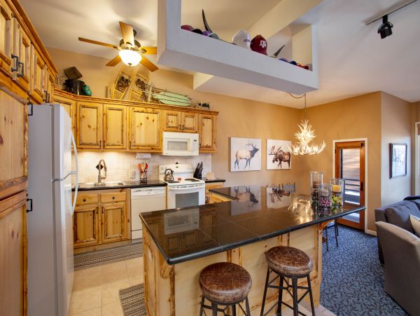 Steamboat Springs Condo 950207