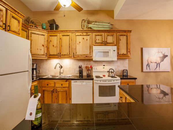 Steamboat Springs Condo 950207