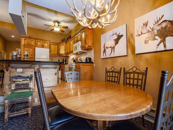 Steamboat Springs Condo 950207