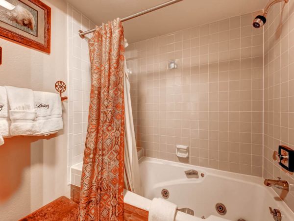 Steamboat Springs Condo 950212