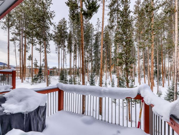Winter Park Home 950214