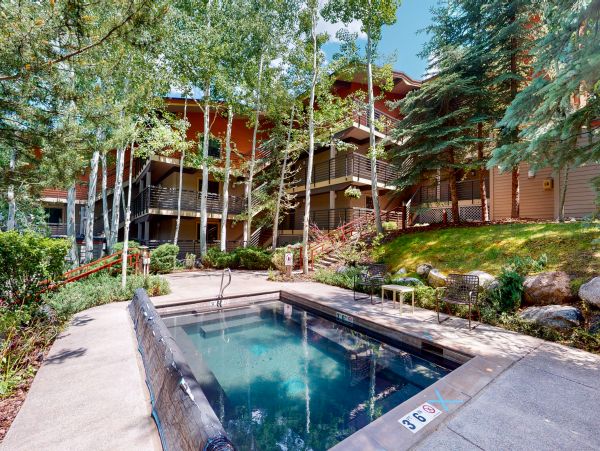 Snowmass Condo 950218