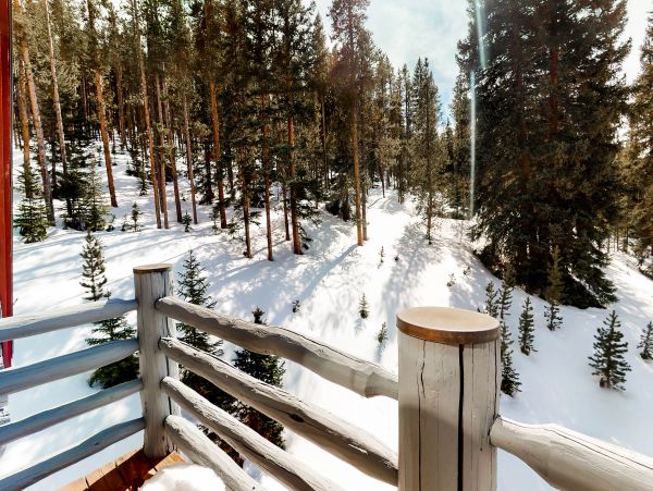 Breckenridge Home 950220