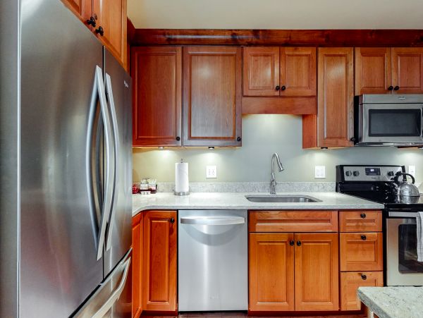 Vail Lionshead Condo 950221