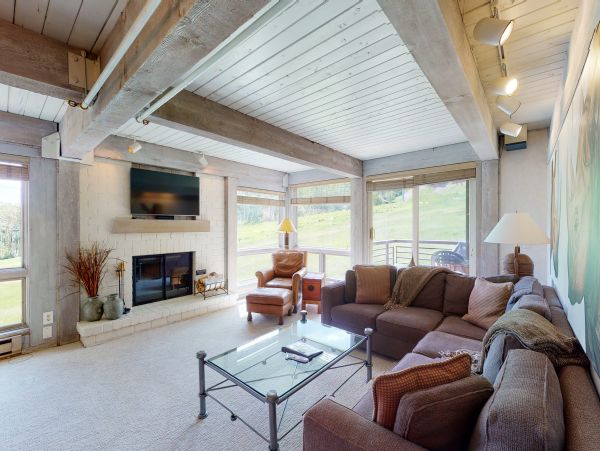 Snowmass Condo 950228