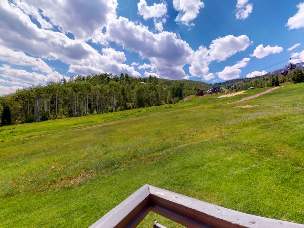 Snowmass Condo 950228