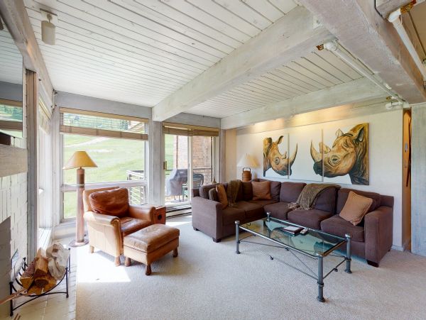 Snowmass Condo 950228