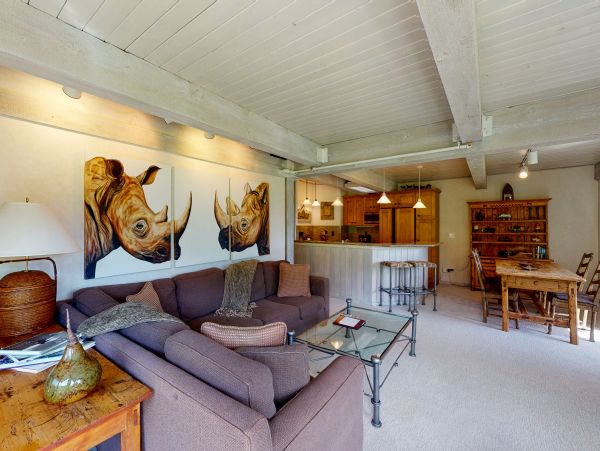 Snowmass Condo 950228