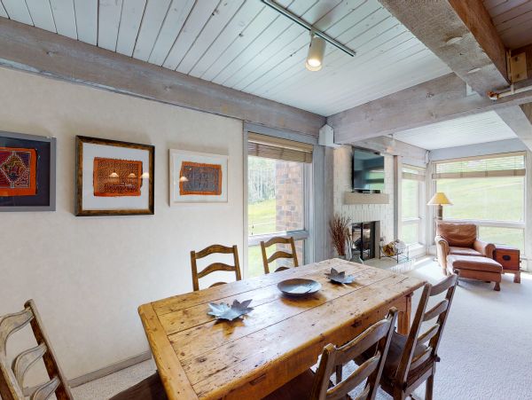 Snowmass Condo 950228