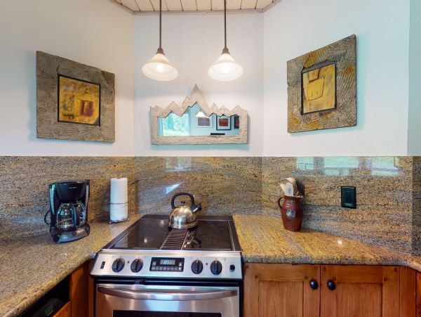 Snowmass Condo 950228