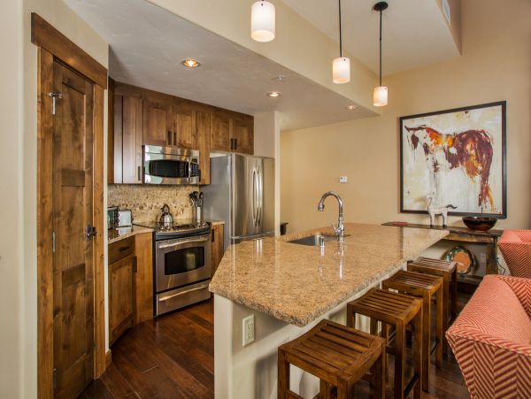 Steamboat Springs Condo 950241