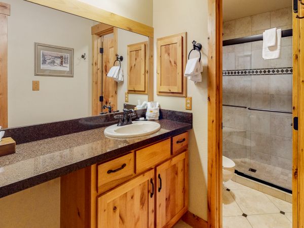 Steamboat Springs Condo 950245