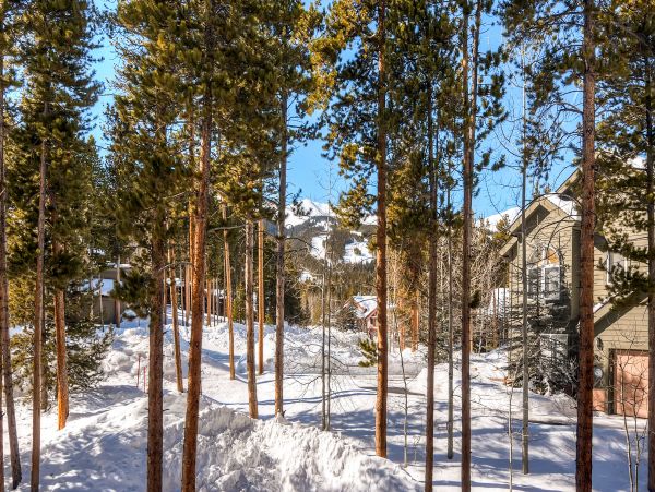 Breckenridge Home 950258