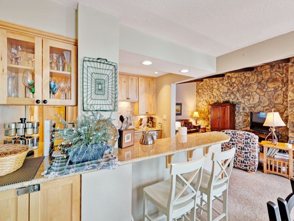 Breckenridge Condo 950261