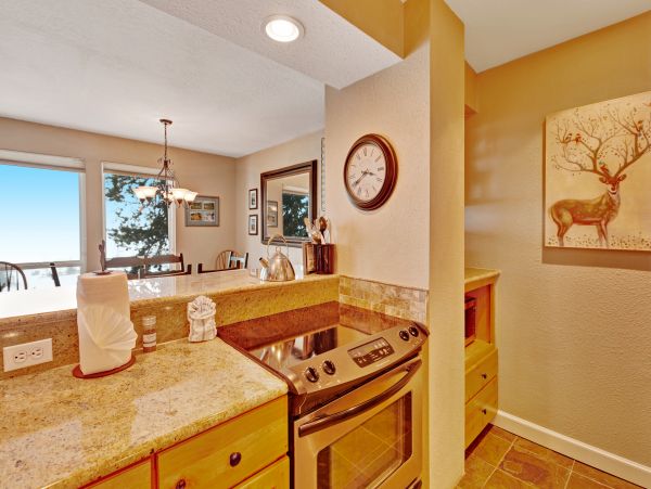 Breckenridge Condo 950261