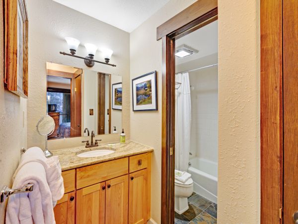 Breckenridge Condo 950261