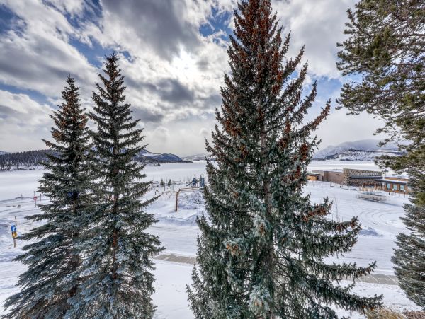 Breckenridge Condo 950261