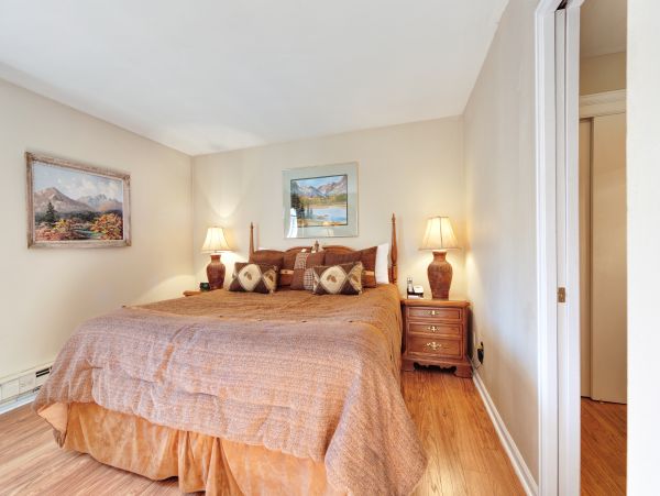 Breckenridge Condo 950262