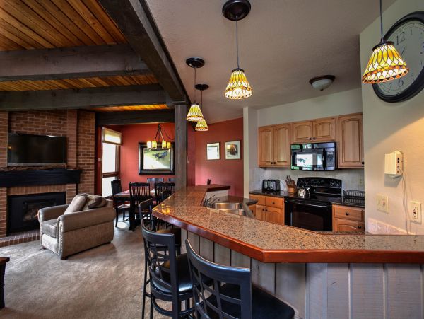 Steamboat Springs Condo 950264
