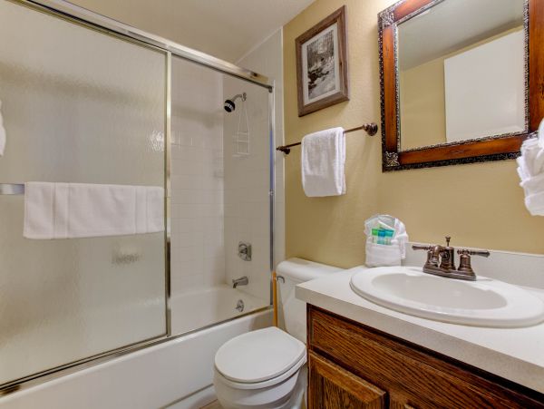 Steamboat Springs Condo 950264