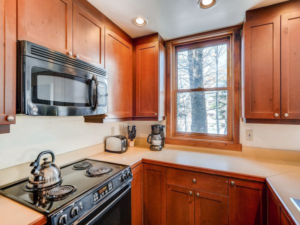Breckenridge Condo 950267