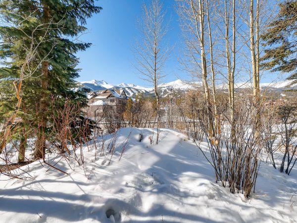 Breckenridge Condo 950267