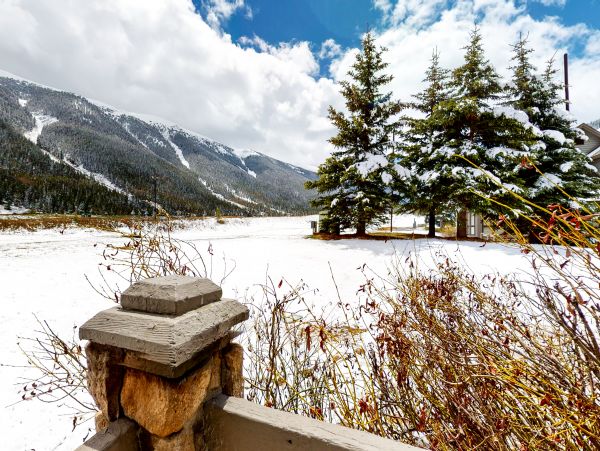 Breckenridge Home 950272