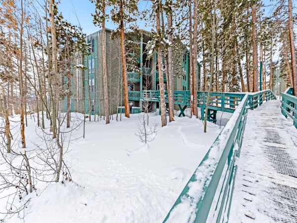 Breckenridge Condo 950274