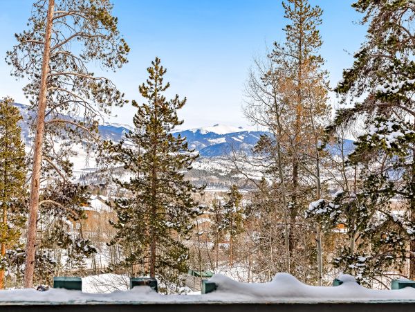 Breckenridge Condo 950274