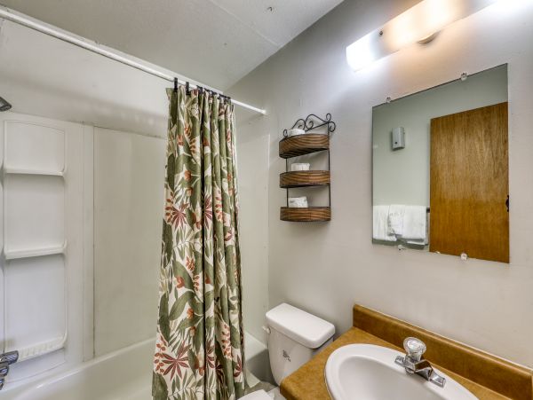 Breckenridge Condo 950277