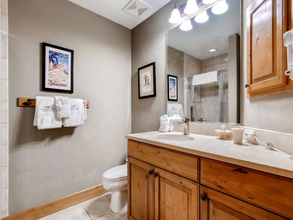 Steamboat Springs Condo 950279