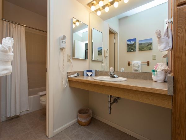 Steamboat Springs Condo 950281