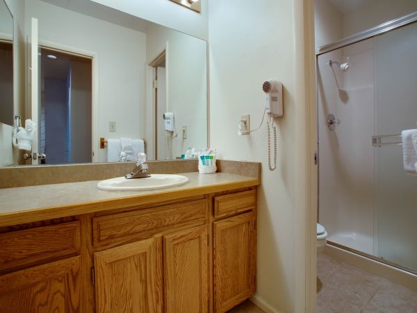 Steamboat Springs Condo 950281