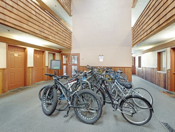 Aspen Condo 950285