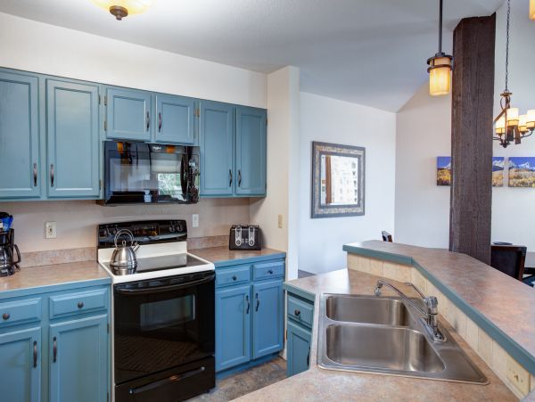 Steamboat Springs Condo 950286