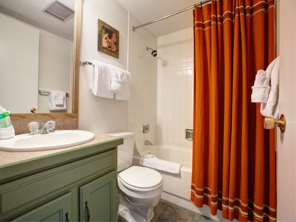 Steamboat Springs Condo 950286