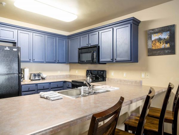 Steamboat Springs Condo 950287
