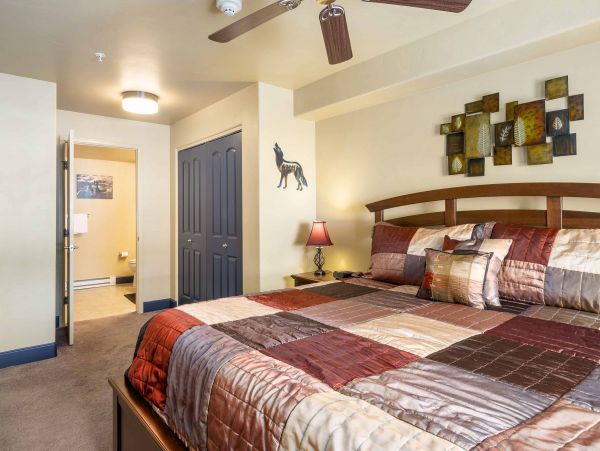Steamboat Springs Condo 950287