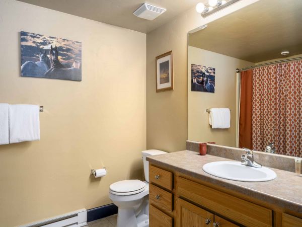 Steamboat Springs Condo 950287