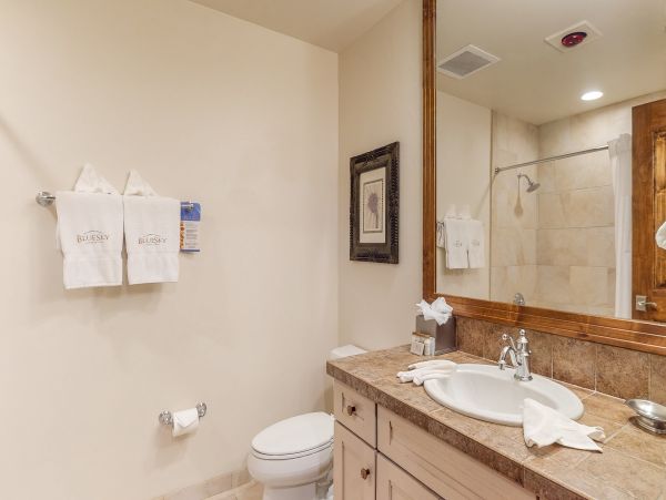Breckenridge Condo 950293