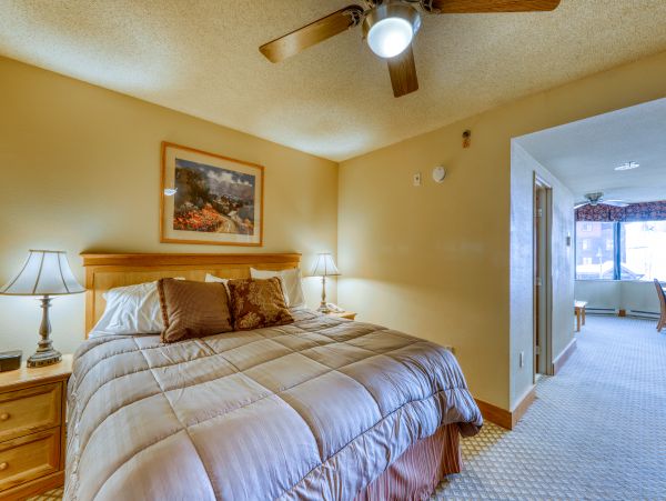 Aspen Condo 950299