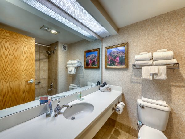 Aspen Condo 950299
